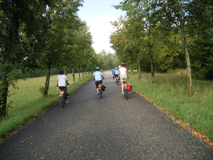 DSCF1812.jpg