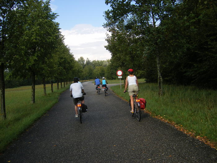 DSCF1813.jpg