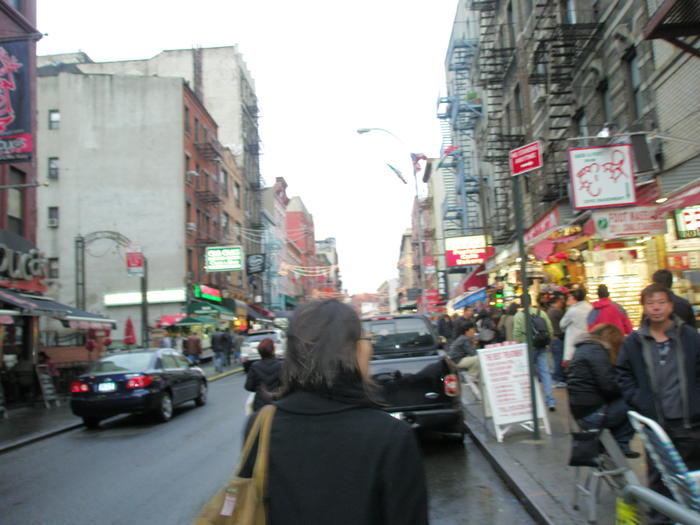 PA251662.JPG