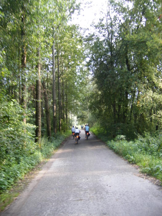 DSCF1822.jpg