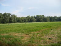 DSCF1823.jpg