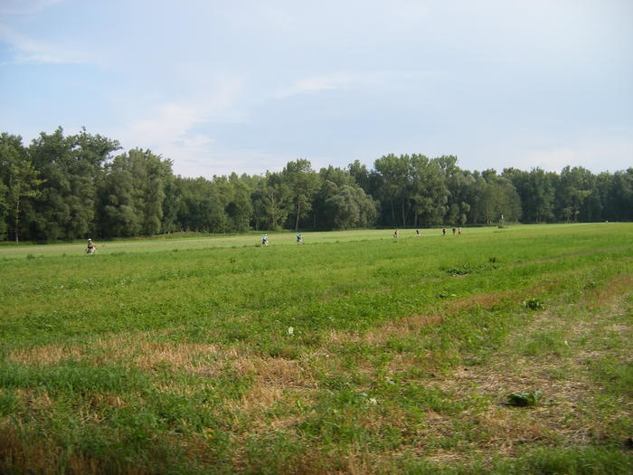 DSCF1823.jpg