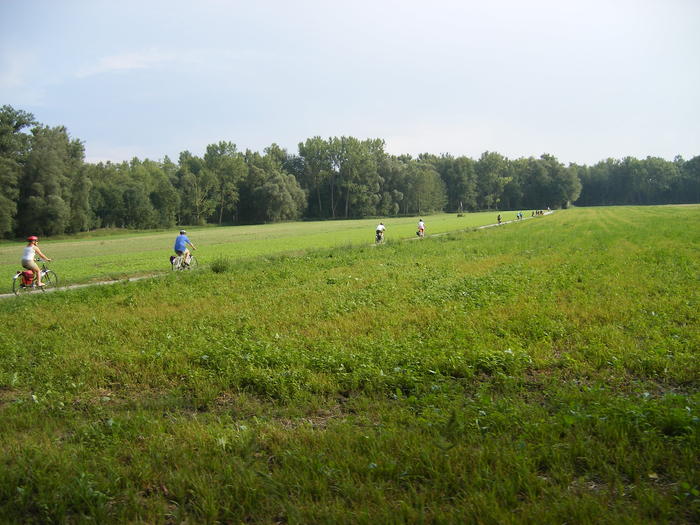 DSCF1824.jpg